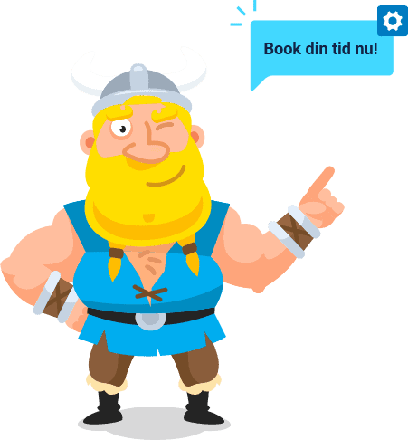 Booking Viking