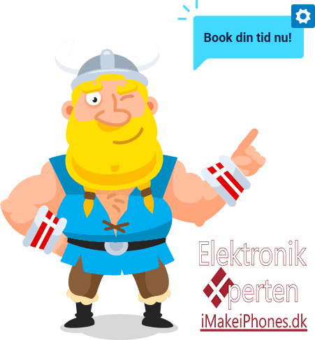 Viking eXperten - Book Tid image